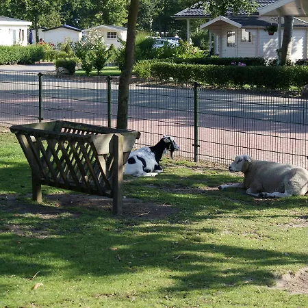 Feriehus Holiday Droompark Molengroet.43 Sint Pancras